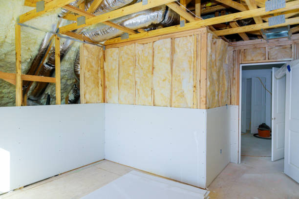 Best Insulation Maintenance and Repair in Sparta, IL