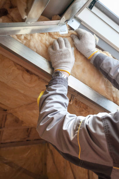 Best Blown-in Insulation in Sparta, IL