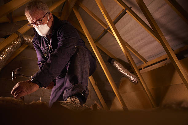 Best Residential Insulation in Sparta, IL